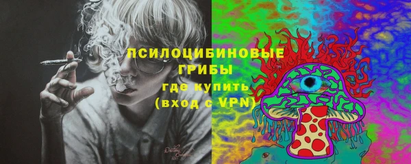 марки nbome Богданович